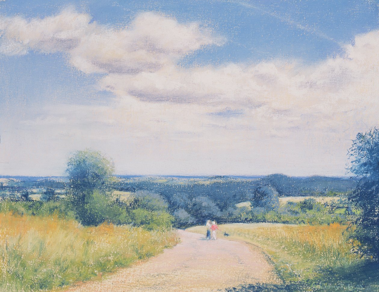 Passeggiata domenicale, 2003 da Anthony Rule