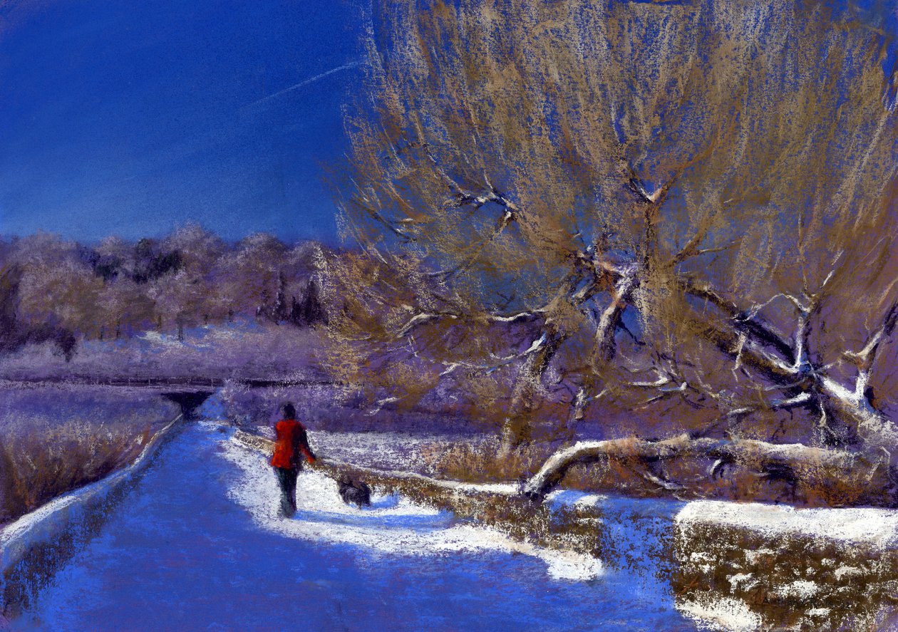 Passeggiata invernale, 2012 da Anthony Rule