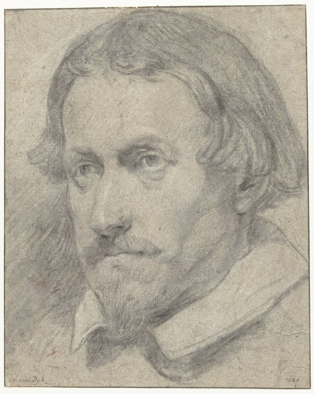 Testa di uomo da Anthony van Dyck (possibly)