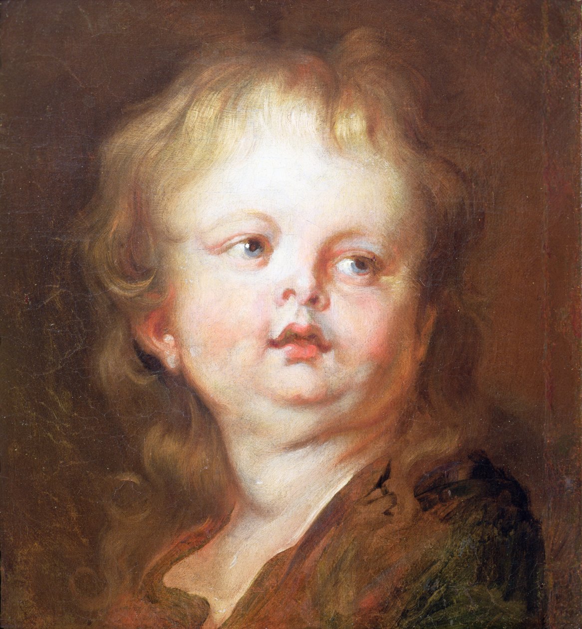 Testa di un ragazzo da Anthony van Dyck