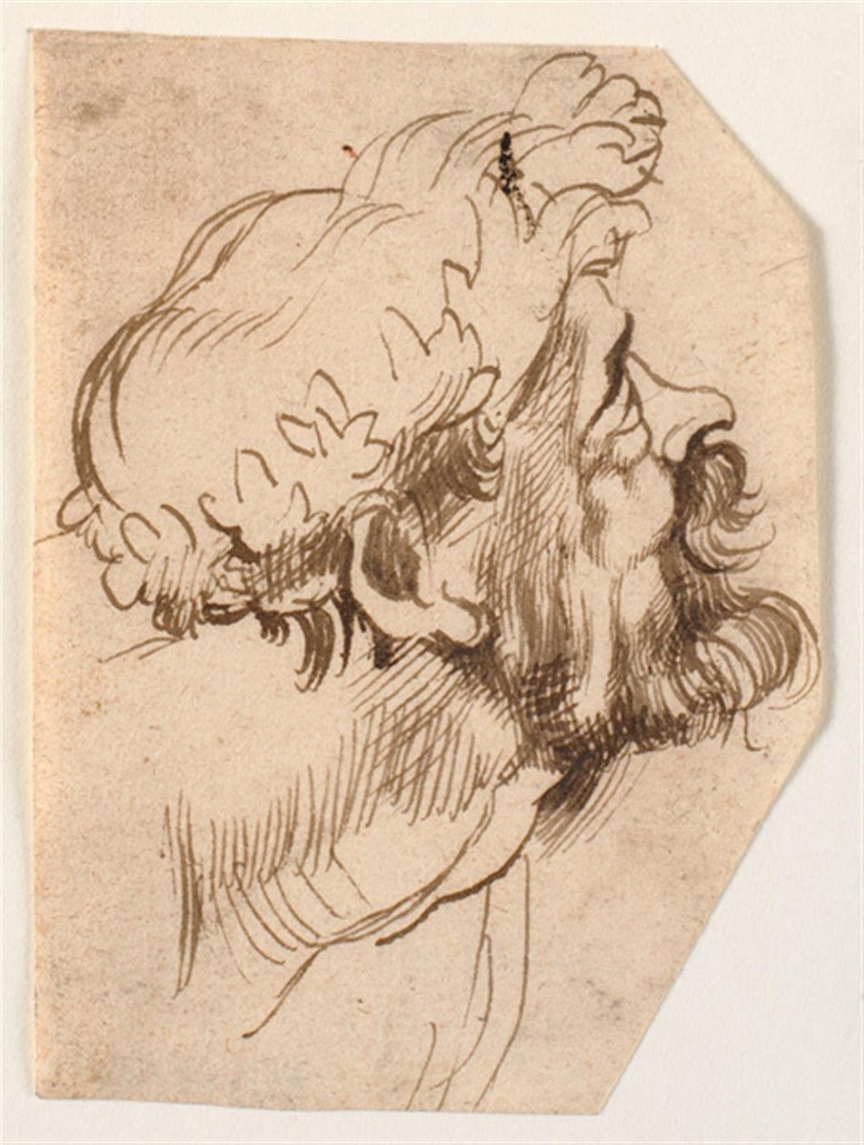Testa di un uomo da Anthony van Dyck