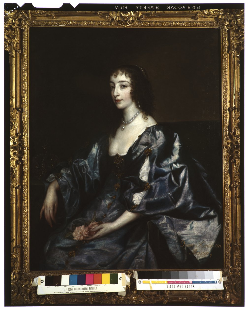 Regina Enrichetta Maria d