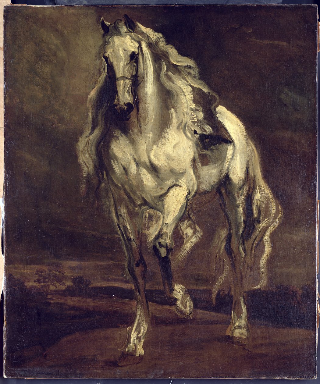 Immagine sconosciuta da Anthony van Dyck