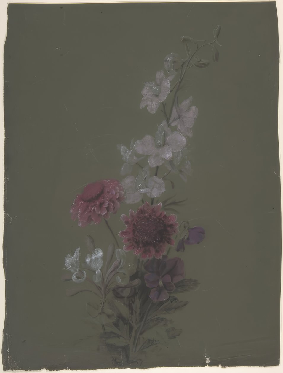 Design floreale da Antoine Berjon