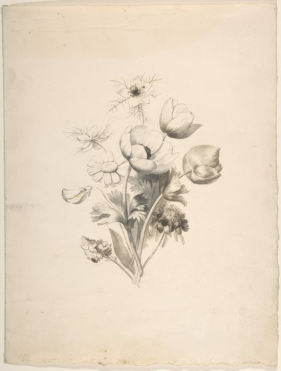 Design floreale da Antoine Berjon