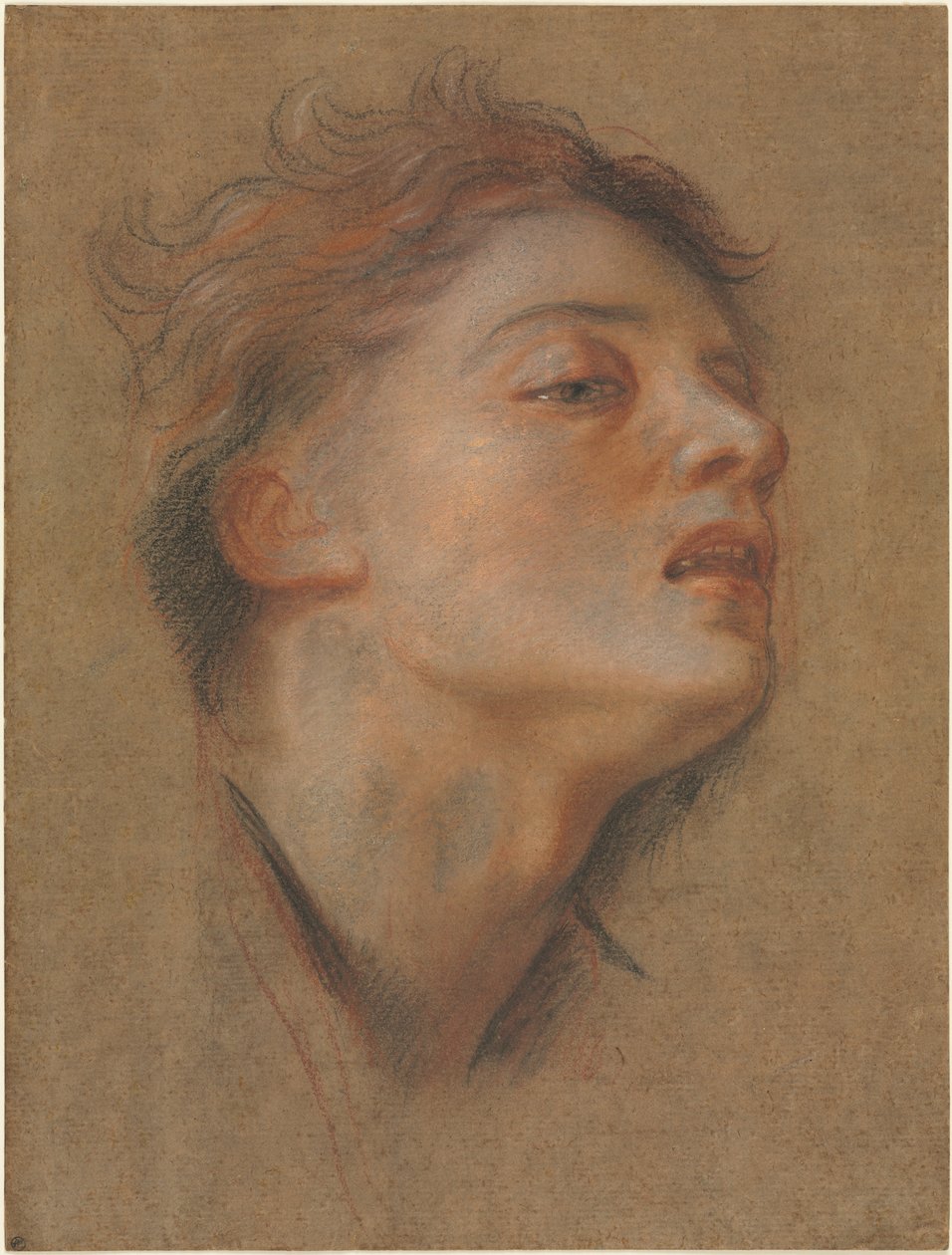 Testa di un giovane uomo da Antoine Coypel