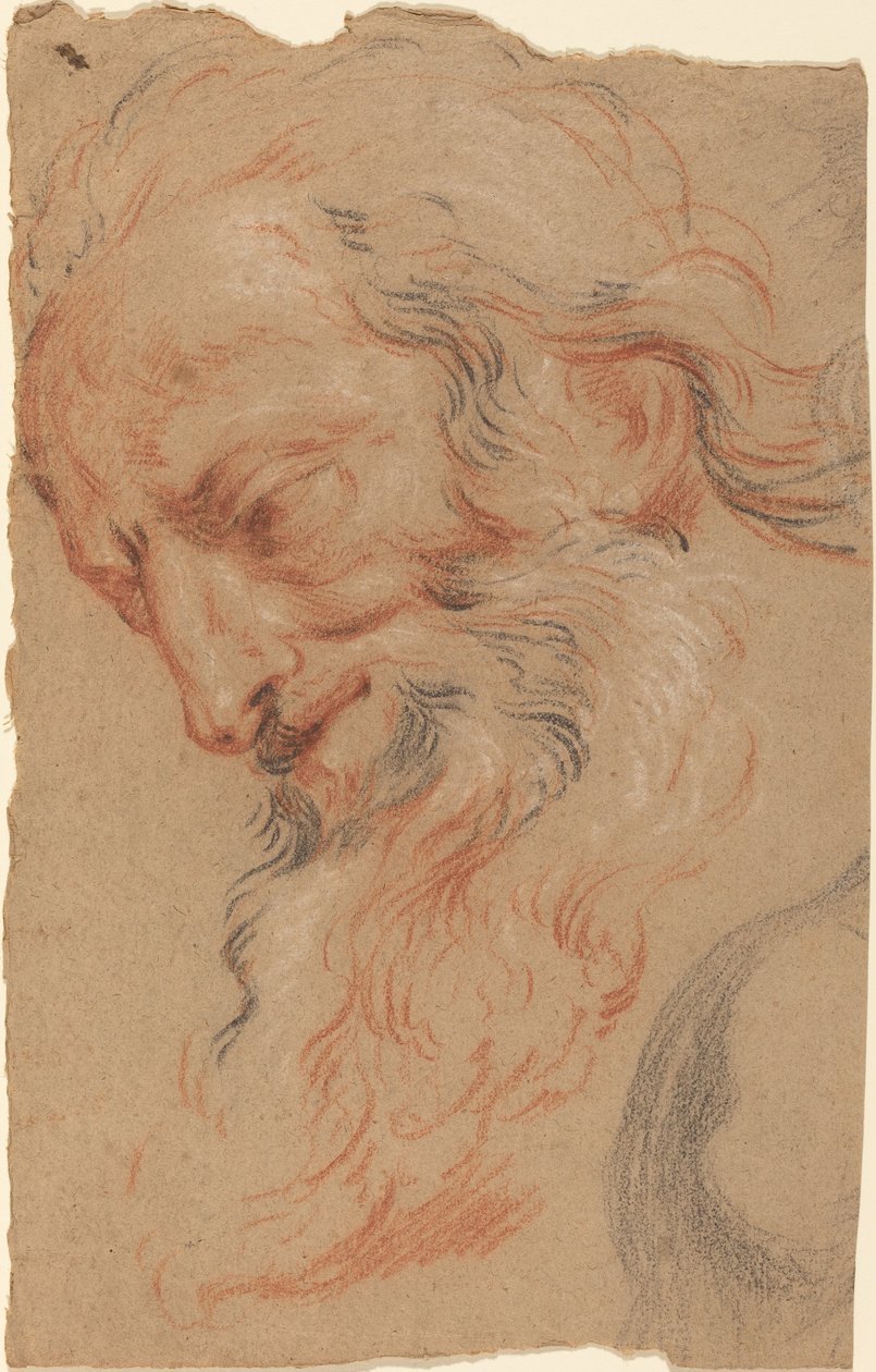Testa di un vecchio da Antoine Coypel