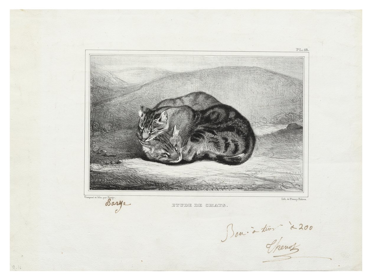 Studio di gatti da Antoine Louis Barye