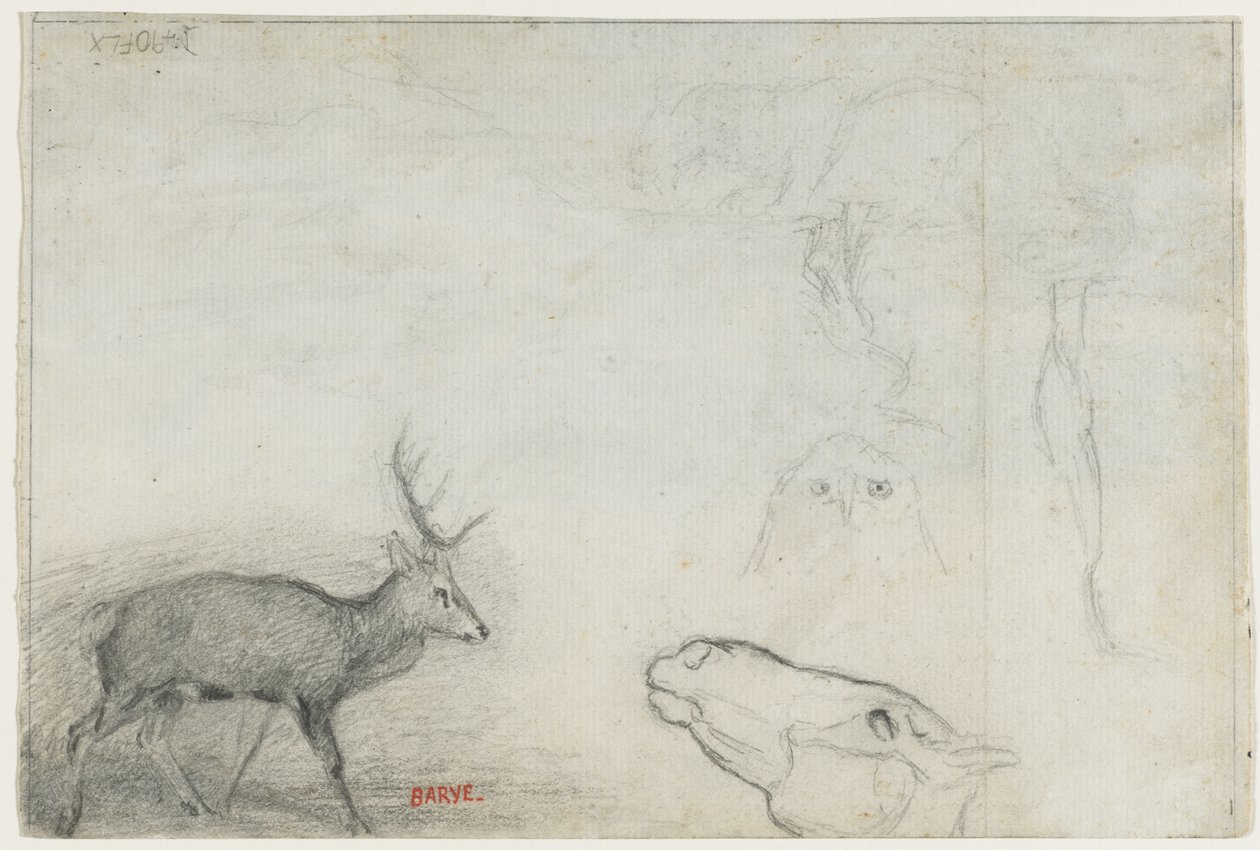 Studi di animali (verso) da Antoine Louis Barye