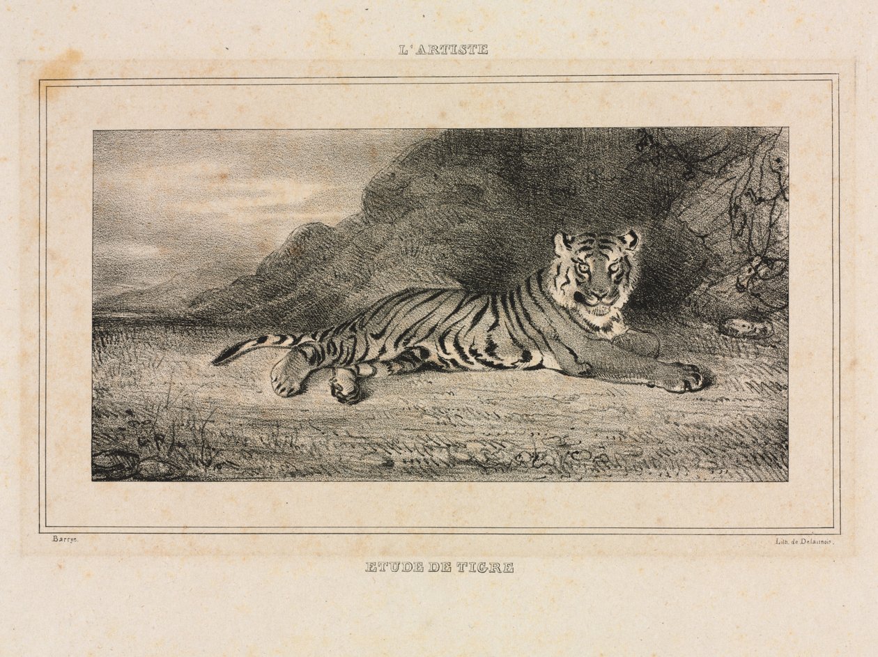 Studio di una tigre da Antoine Louis Barye