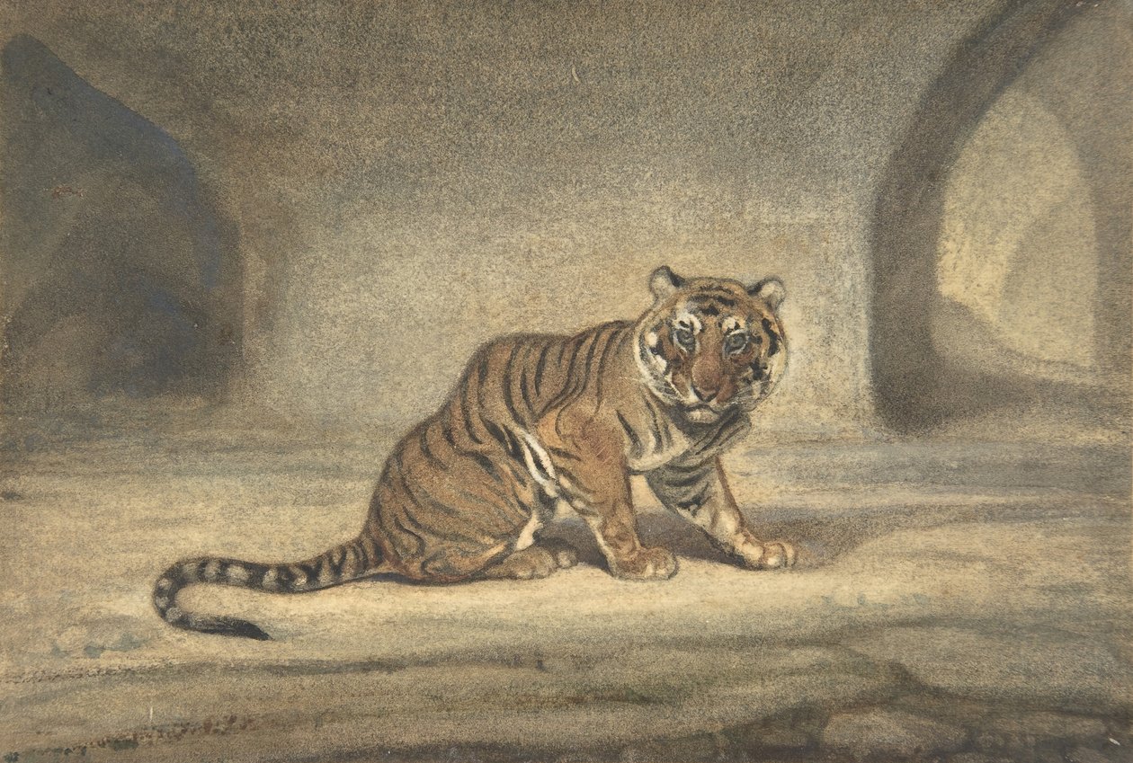 Tigre da Antoine Louis Barye