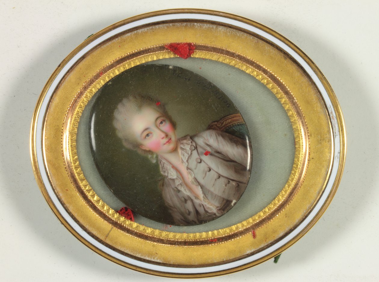 La Contessa du Barry da Antoine Vestier