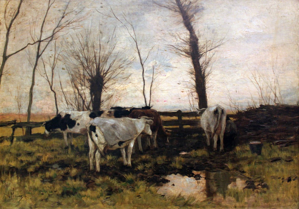Mucche al pascolo da Anton Mauve