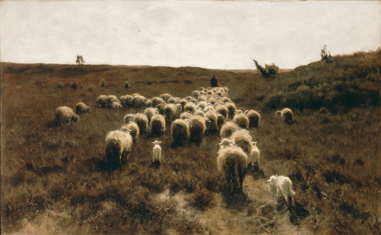 Il ritorno del gregge, Laren da Anton Mauve