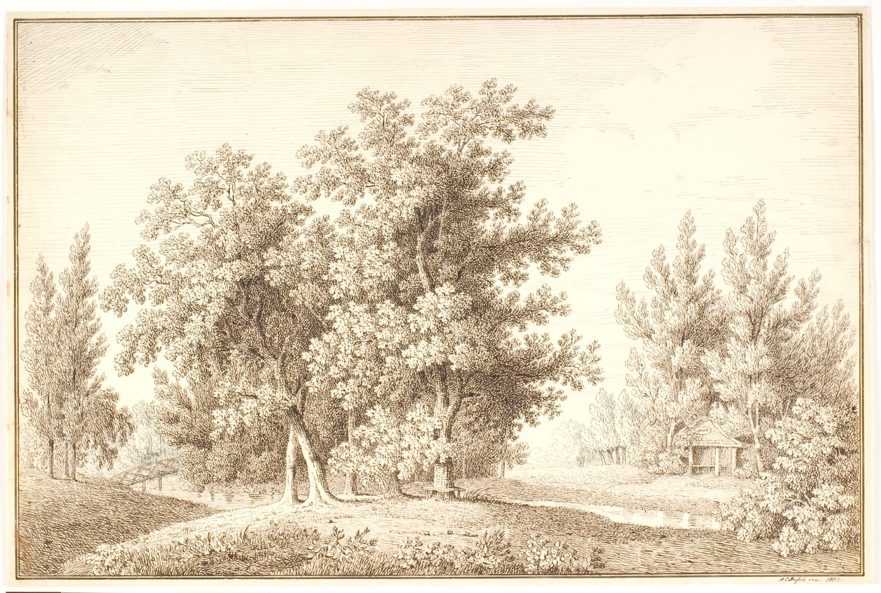 Parco con corso d
