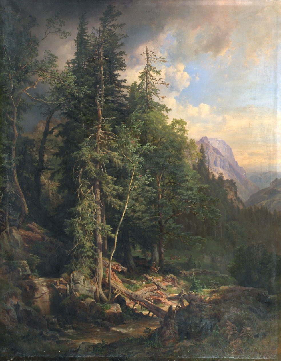 Dalle foreste montane della Stiria vicino a Neuberg da Anton Hansch