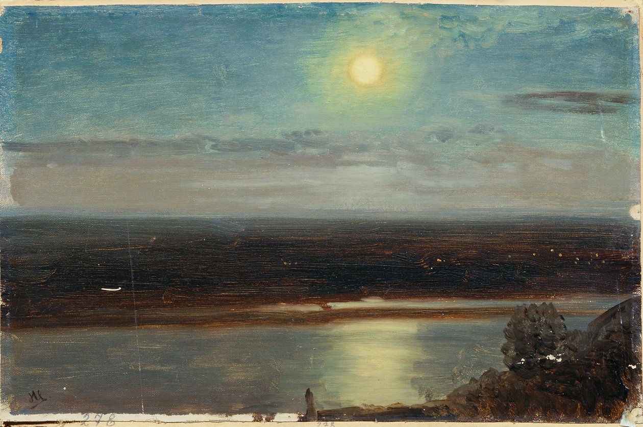 Il Danubio con il Marchfeld di notte da Anton Hlavacek