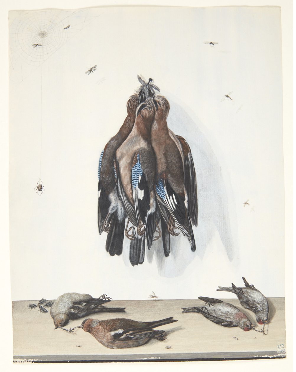 Natura morta con uccelli da Anton Ignaz Hamilton