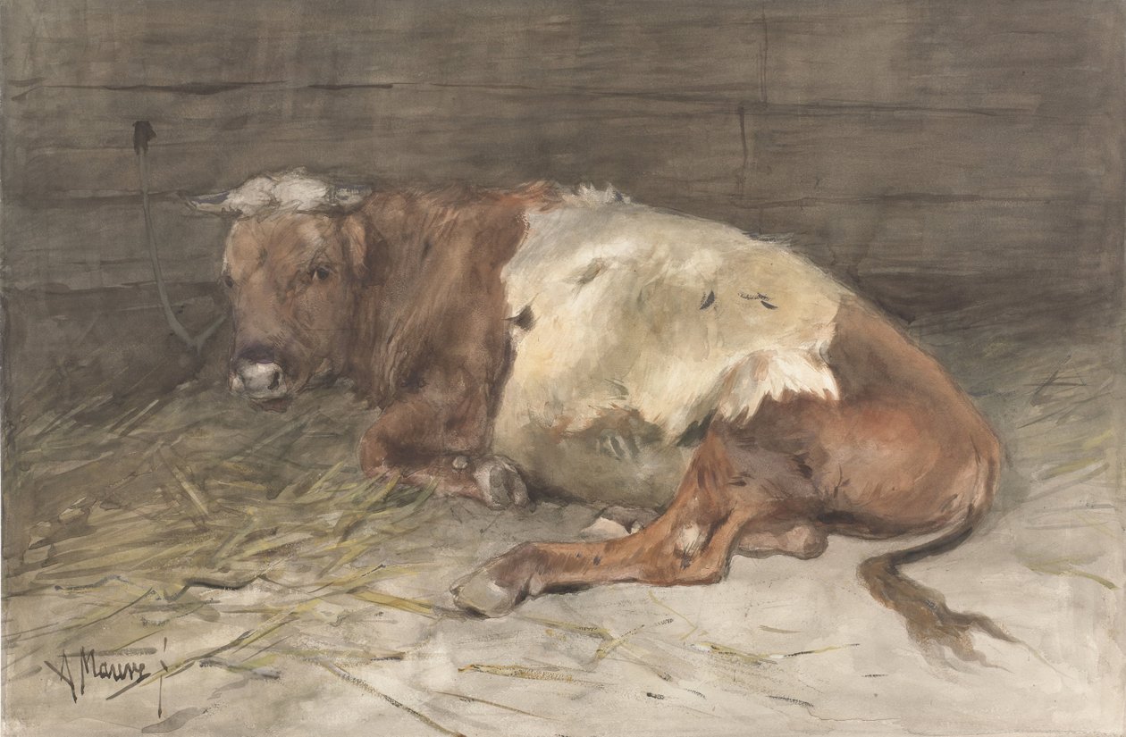 Giovane Toro Sdraiato da Anton Mauve