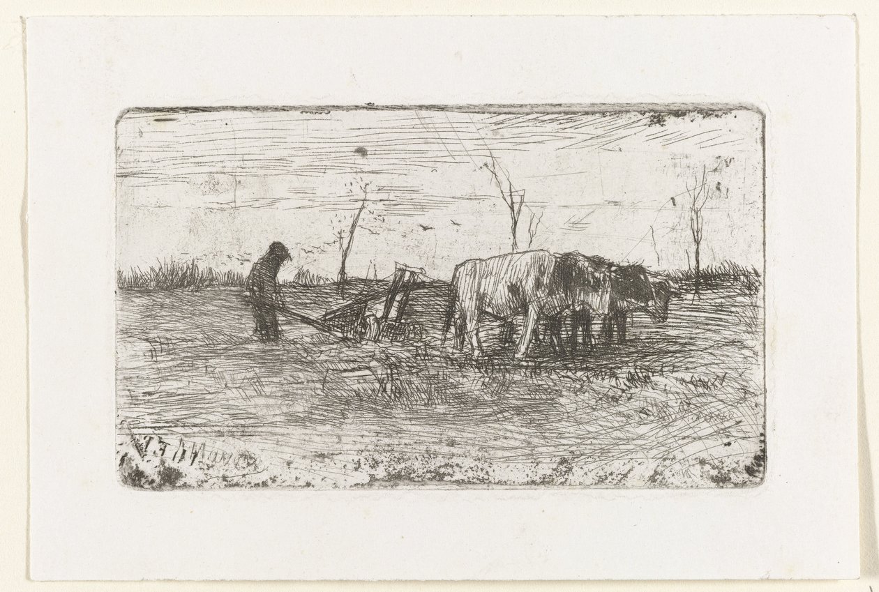 Buoi che arano da Anton Mauve