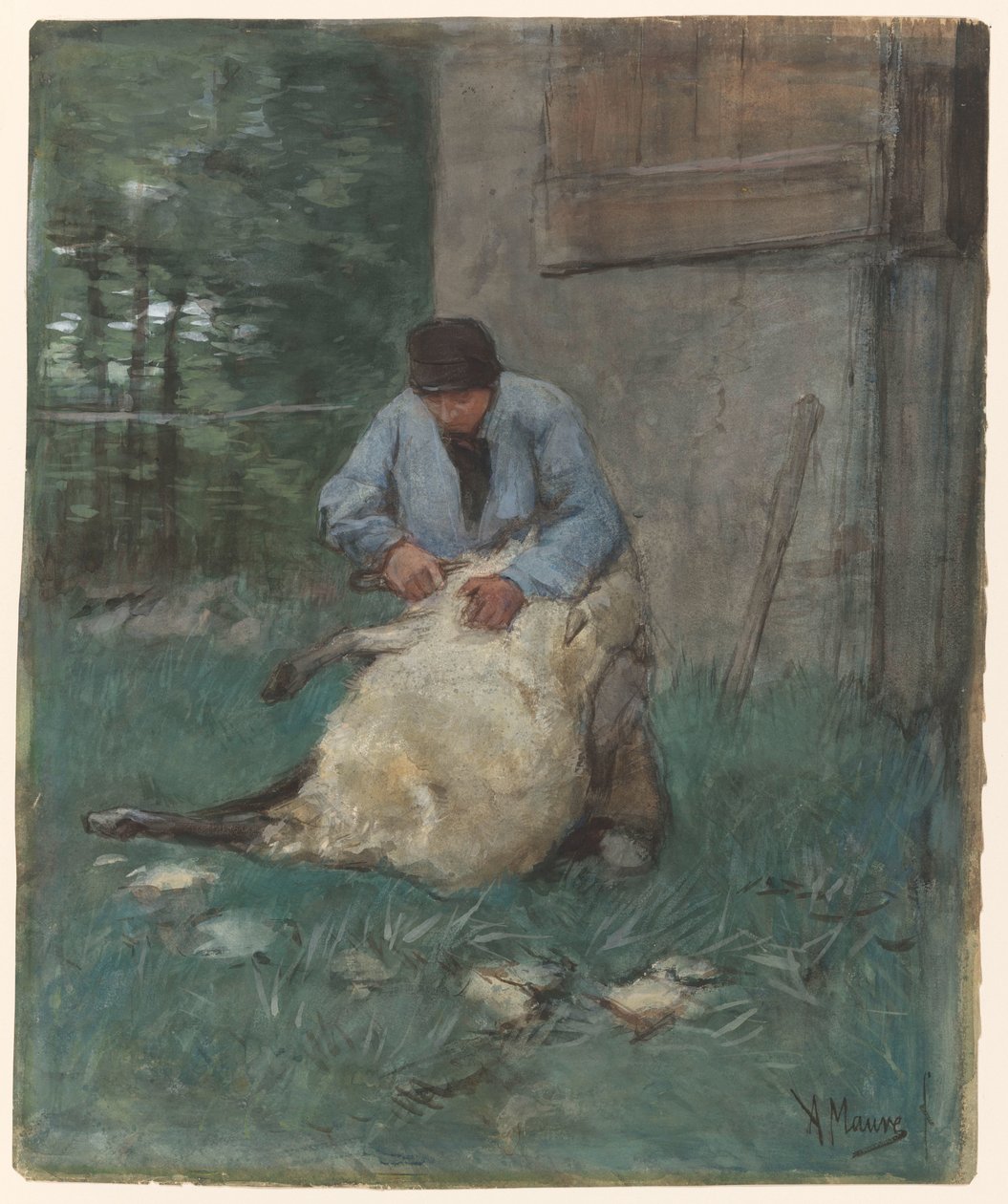 Tosatore di pecore da Anton Mauve