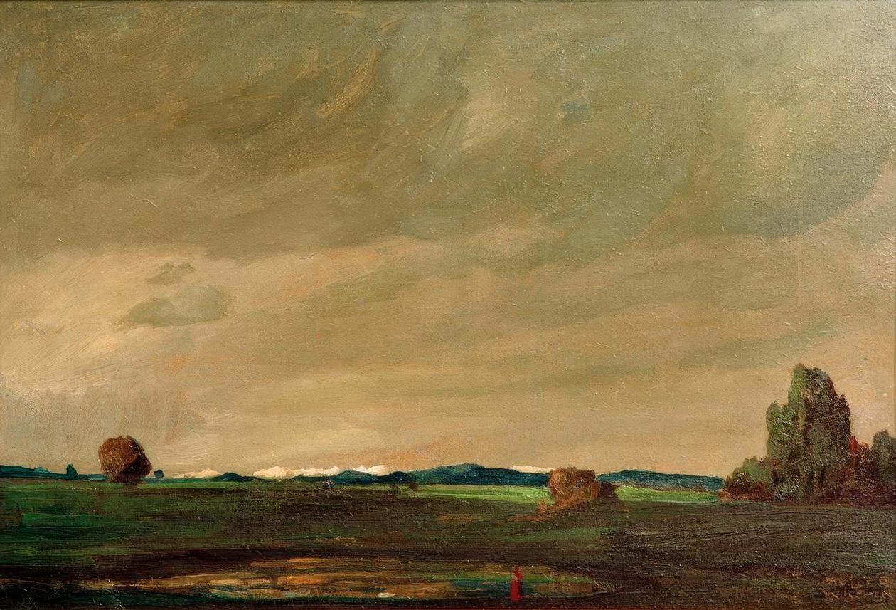 Paesaggio prealpino sul Chiemsee da Anton Müller Wischin