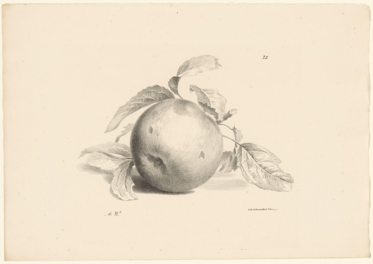 Frutta (serie) da Anton Weiss