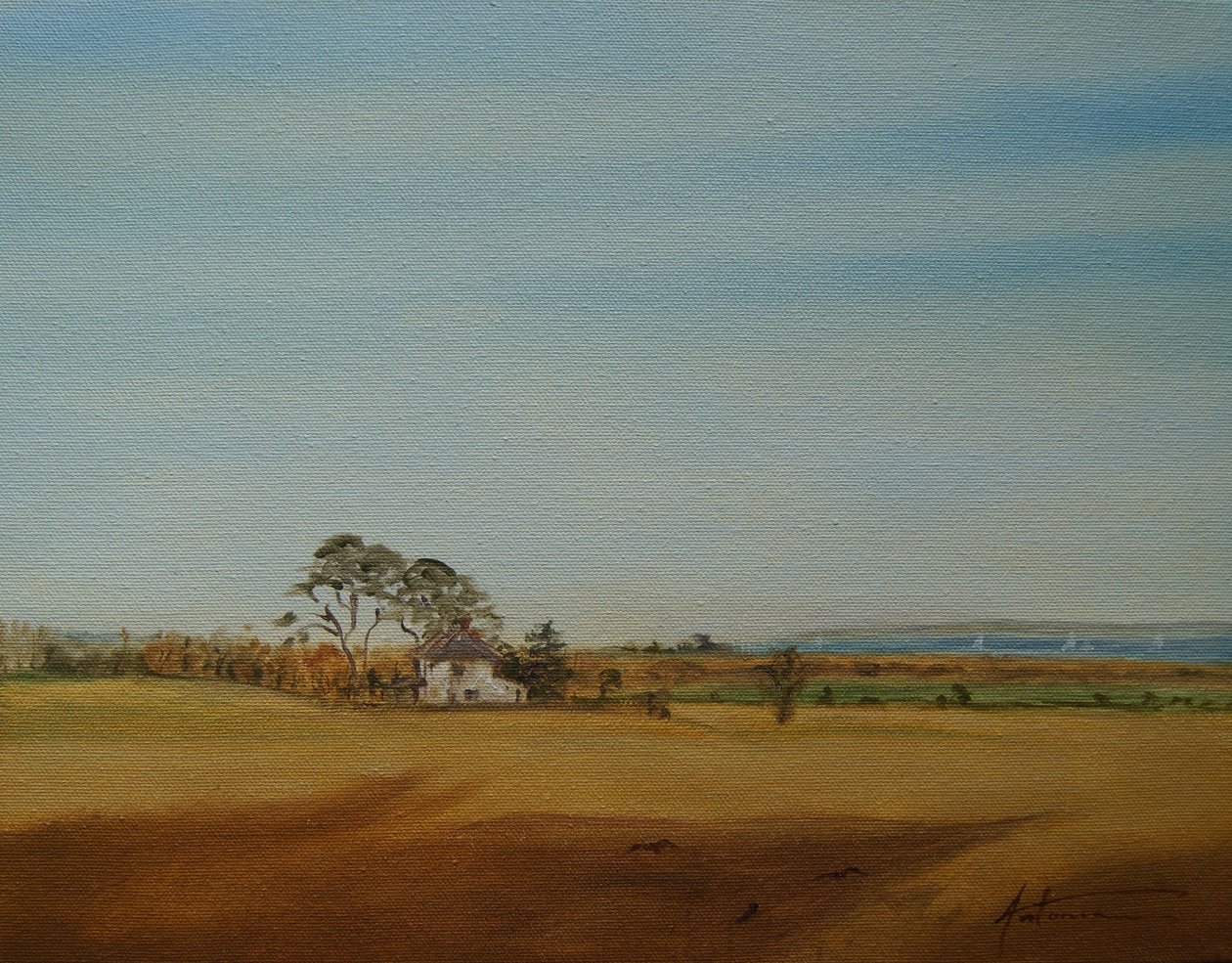 Casa e campi, 2016 da Antonia Myatt