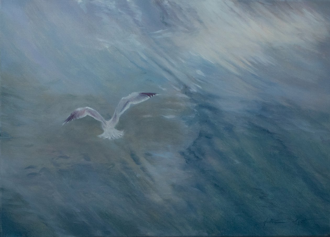 Gabbiano in volo, 2012 da Antonia Myatt