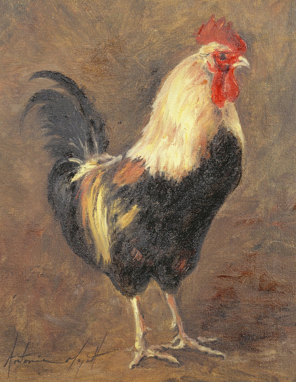 Il gallo, 1999 da Antonia Myatt