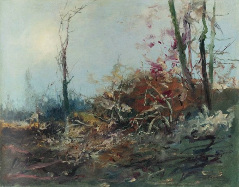 Queimada da Antonio Parreiras