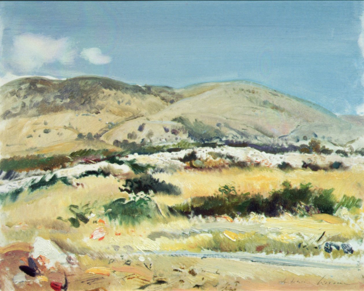 Gargano, 1981 da Antonio Ciccone