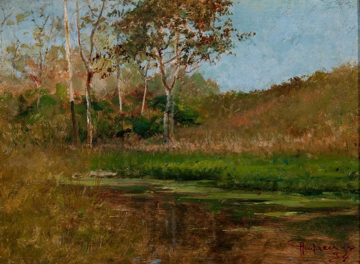 Acqua Ferma da Antonio Parreiras