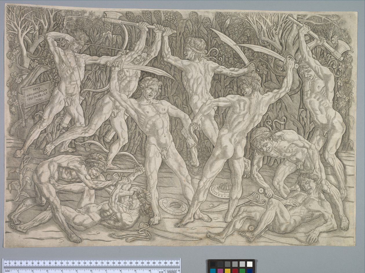 Battaglia dei nudi, c.1475 da Antonio Pollaiuolo