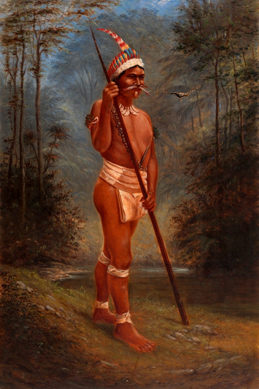 Zaparo Stock da Antonio Zeno Shindler