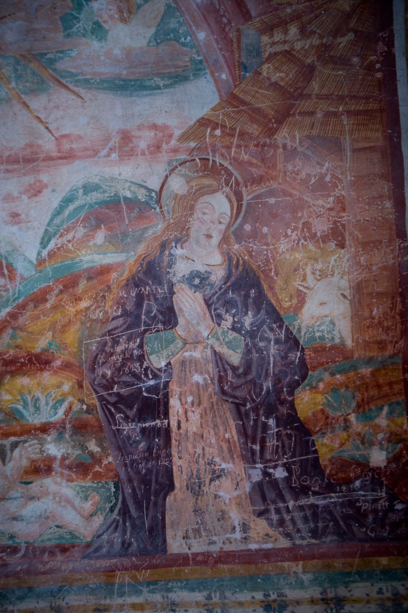Madonna, dettaglio dalla Natività da Antonio da Padova