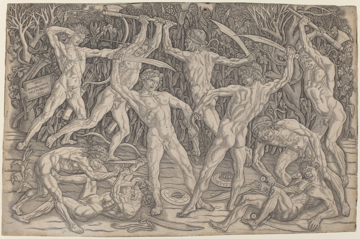 Battaglia dei Nudi da Antonio del Pollaiolo