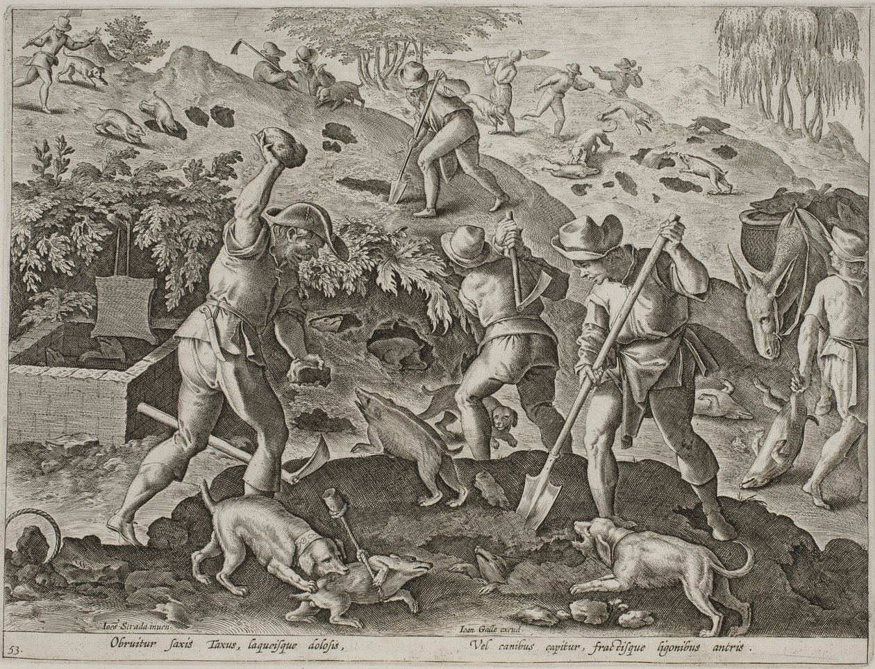 Caccia al tasso da Antonius Wierix