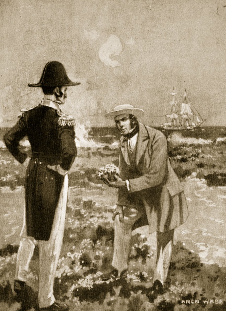 Darwin trova un esemplare interessante da Archibald Webb