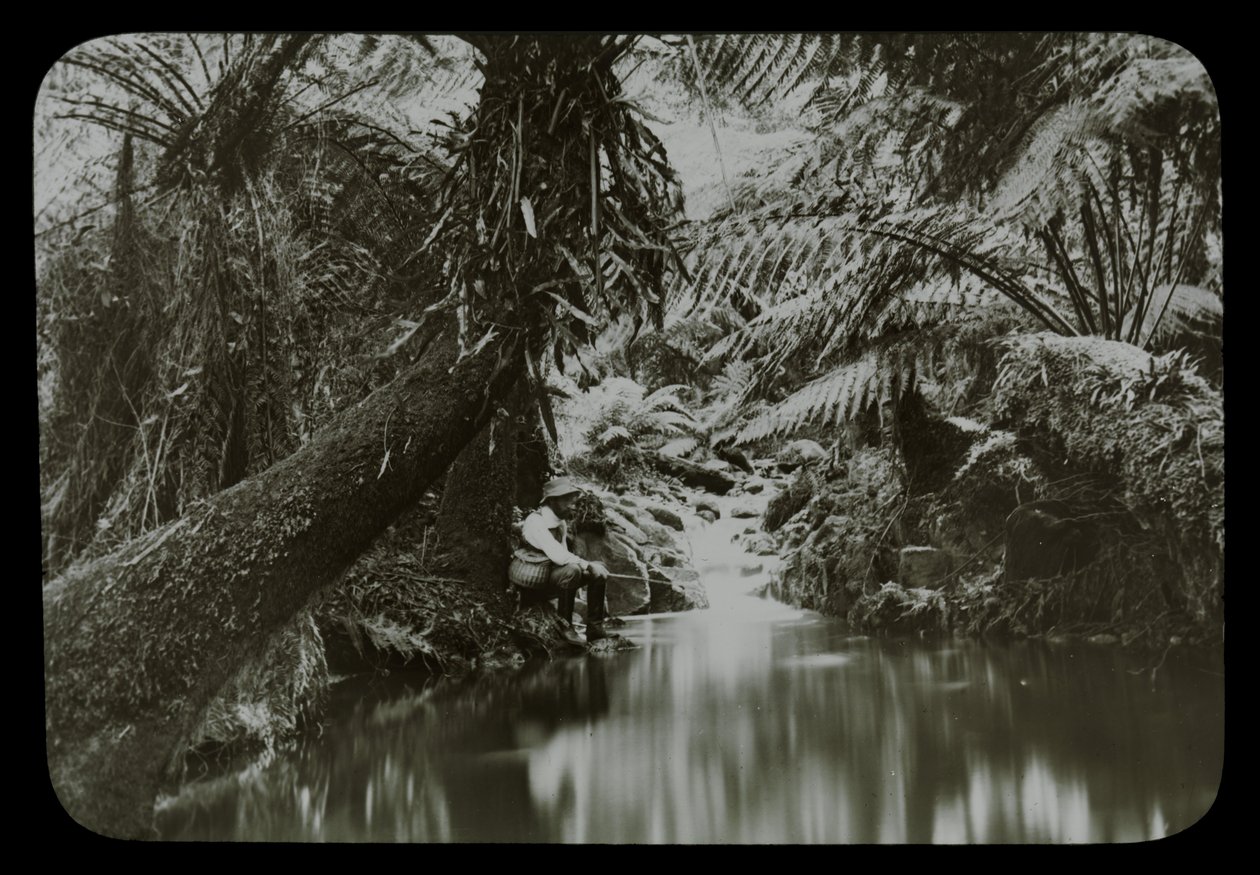 Piscina di pesca, Sassafras Gully da Archibald James Campbell