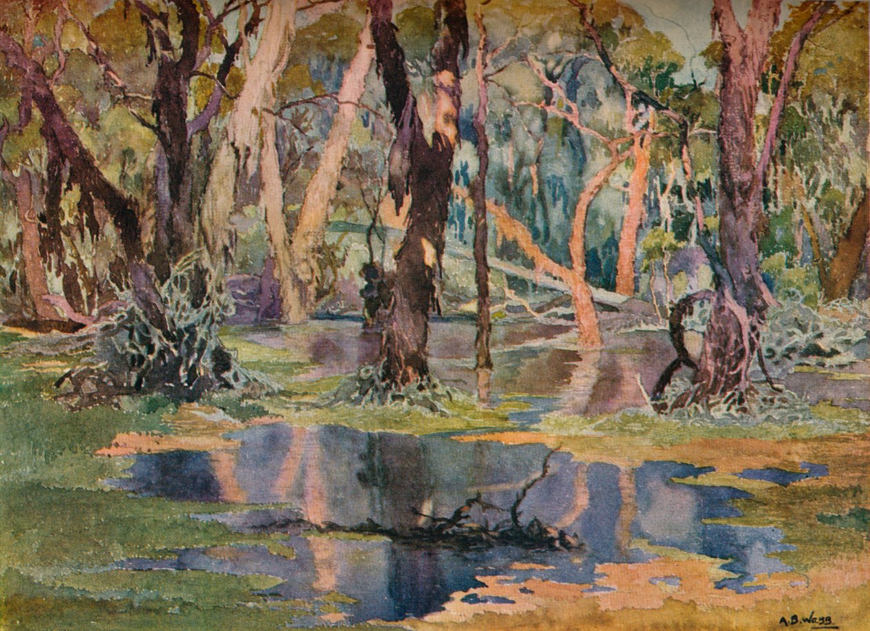 Quindanning Pool da Archibald Bertram Webb