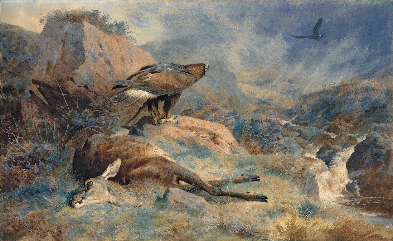 La Cerva Perduta da Archibald Thorburn