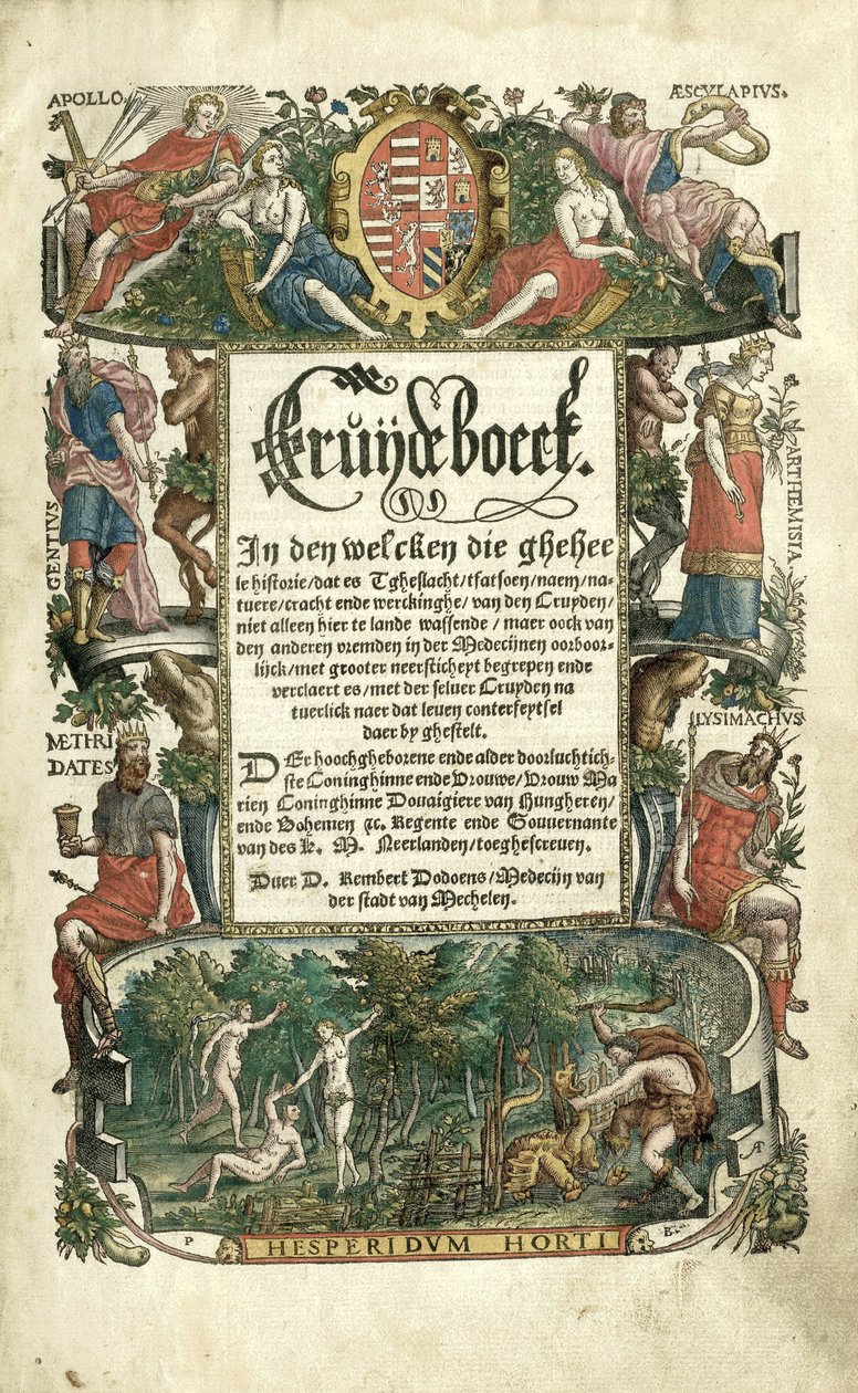 Cruijdeboeck di Dodoens con rappresentazioni di piante da Arnaud Nicolaï
