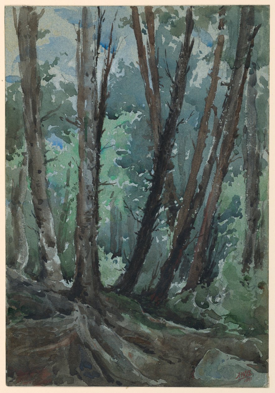 Foresta da Arnold William Brunner