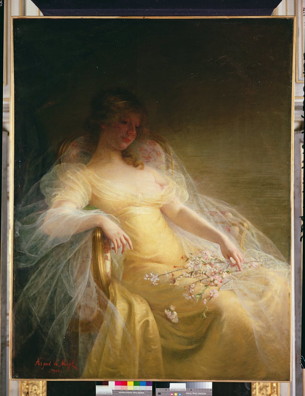Ritratto di una donna da Arpad Migl