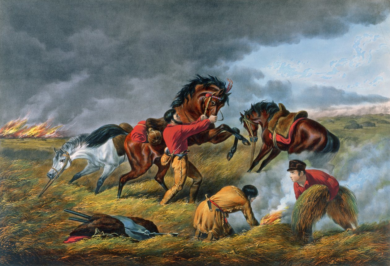Vita nella prateria, pub. da Currier e Ives, New York da Arthur Fitzwilliam Tait