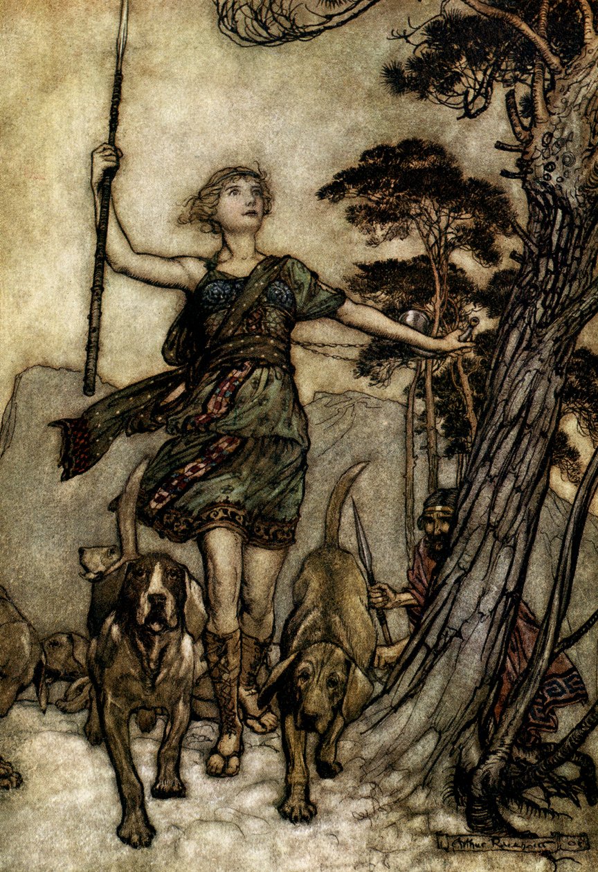 Sogno di una notte di mezza estate da Arthur Rackham
