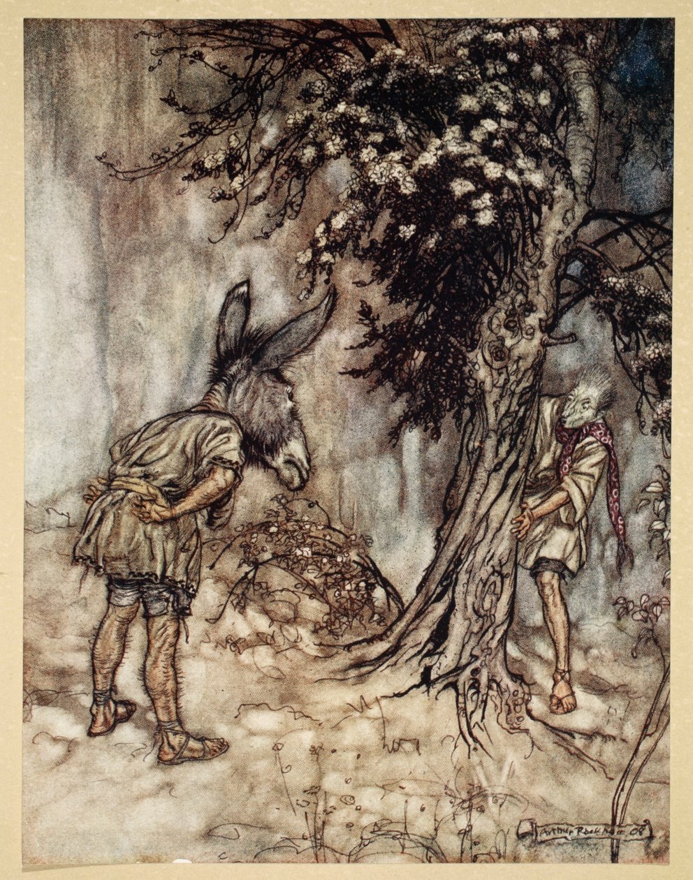 O Bottom, sei cambiato!, illustrazione da 