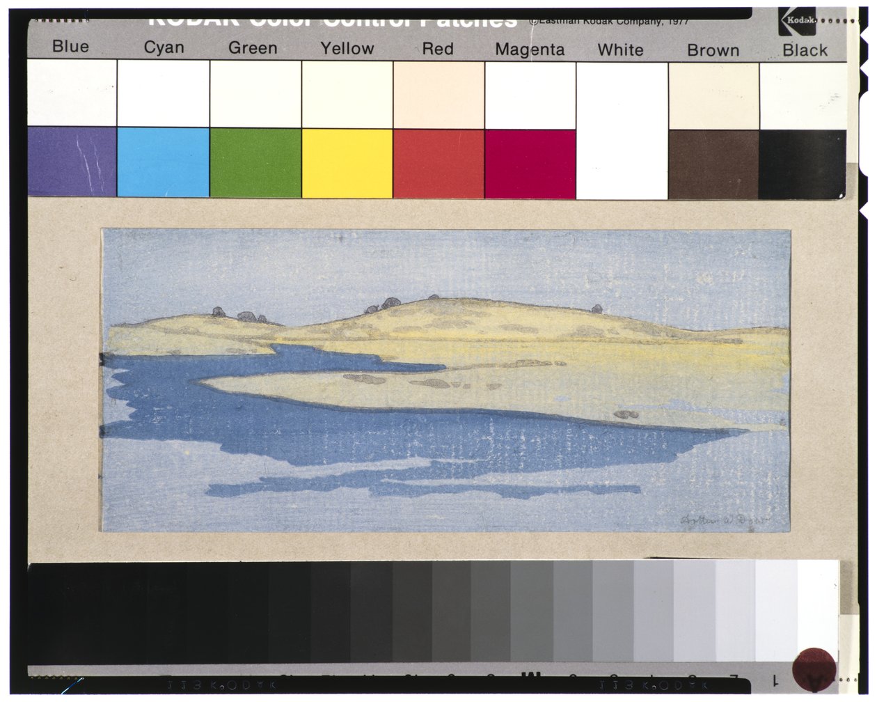 Le Paludi di Ipswich da Arthur Wesley Dow