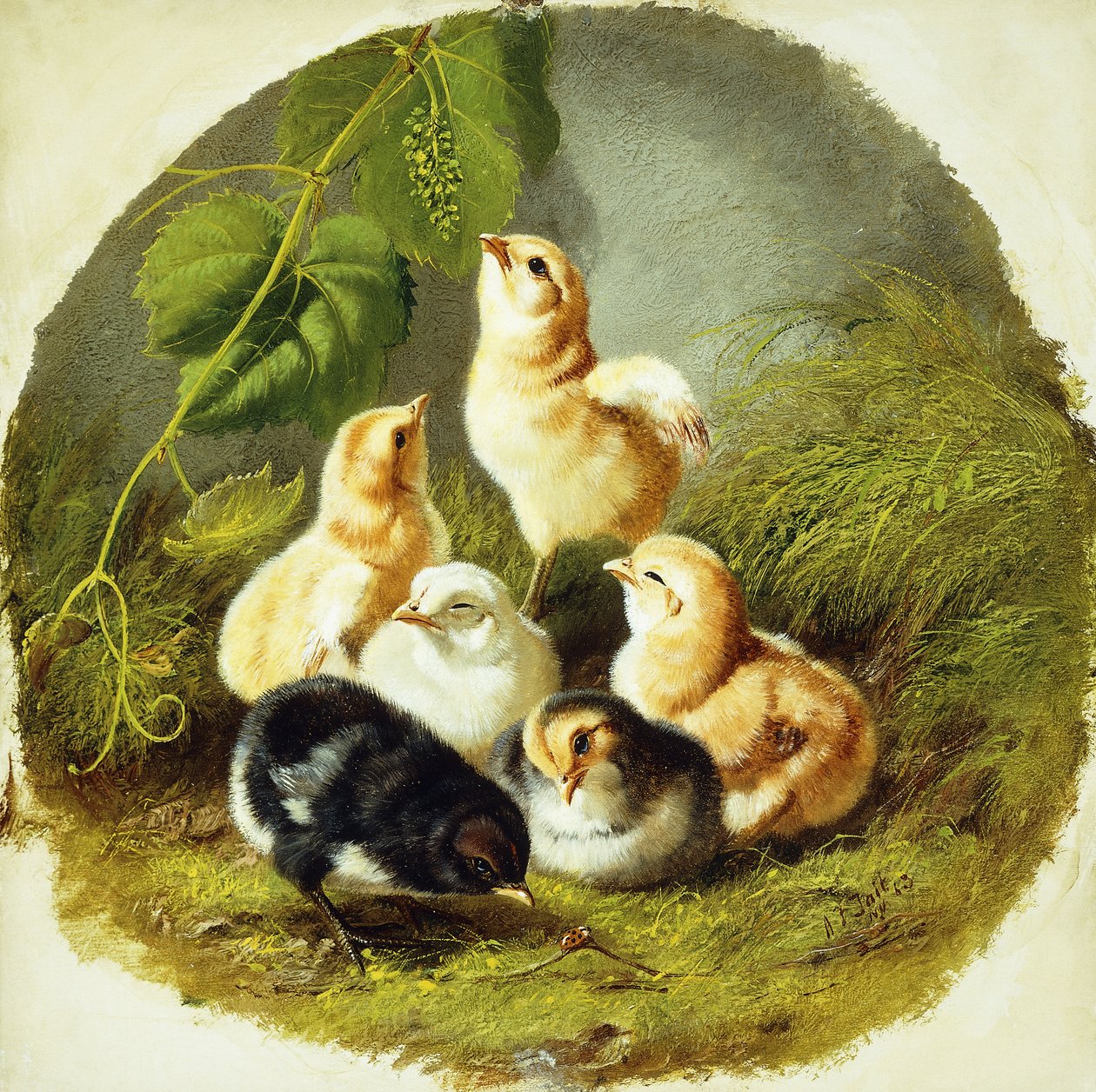 Pulcini, 1863 da Arthur Fitzwilliam Tait